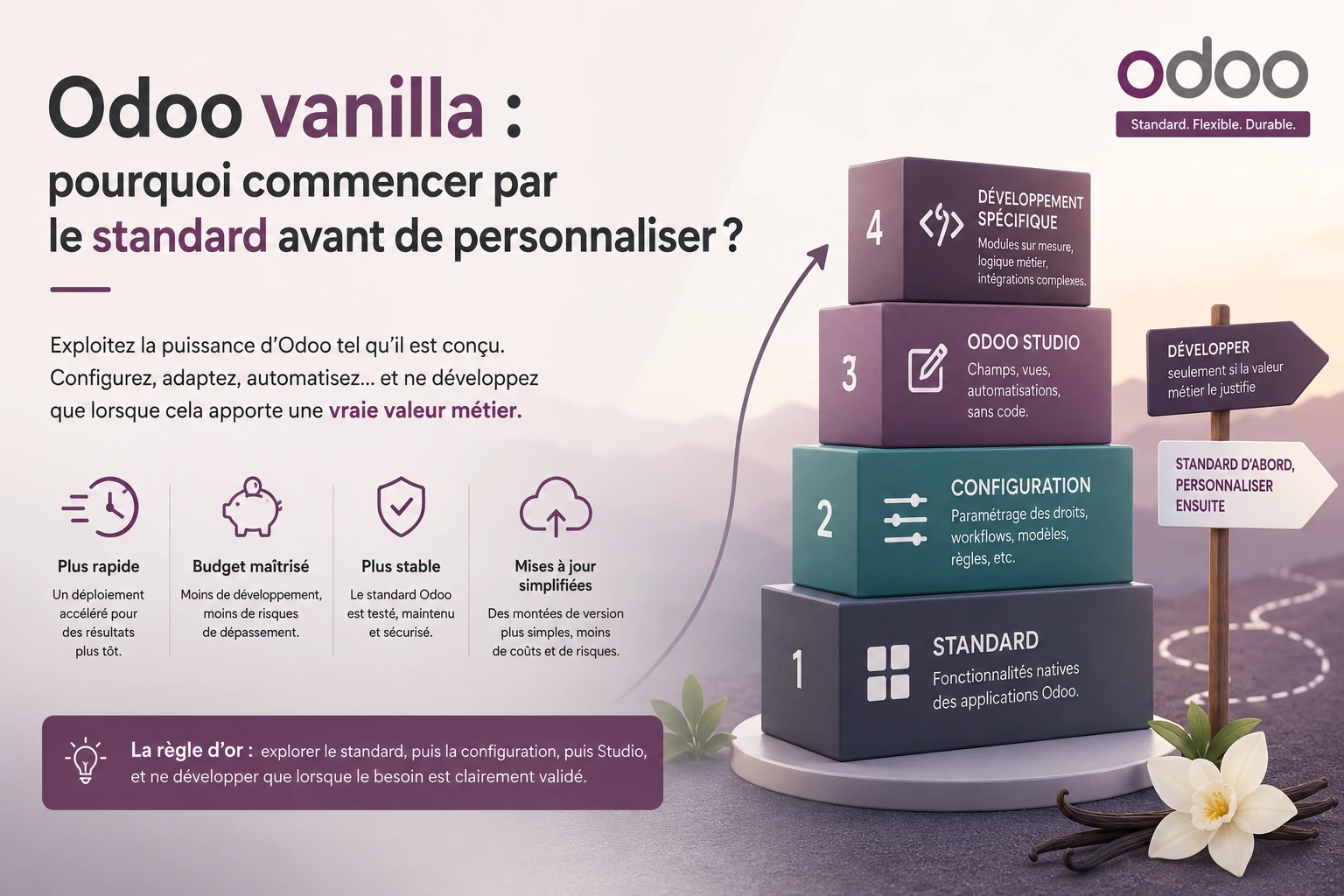 Odoo Vanilla